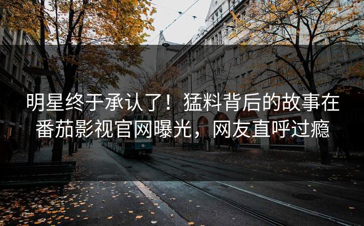 明星终于承认了！猛料背后的故事在番茄影视官网曝光，网友直呼过瘾