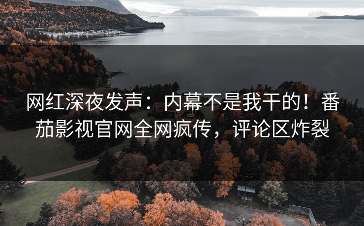 网红深夜发声：内幕不是我干的！番茄影视官网全网疯传，评论区炸裂
