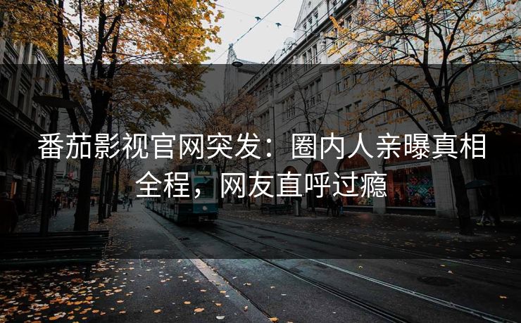 番茄影视官网突发：圈内人亲曝真相全程，网友直呼过瘾