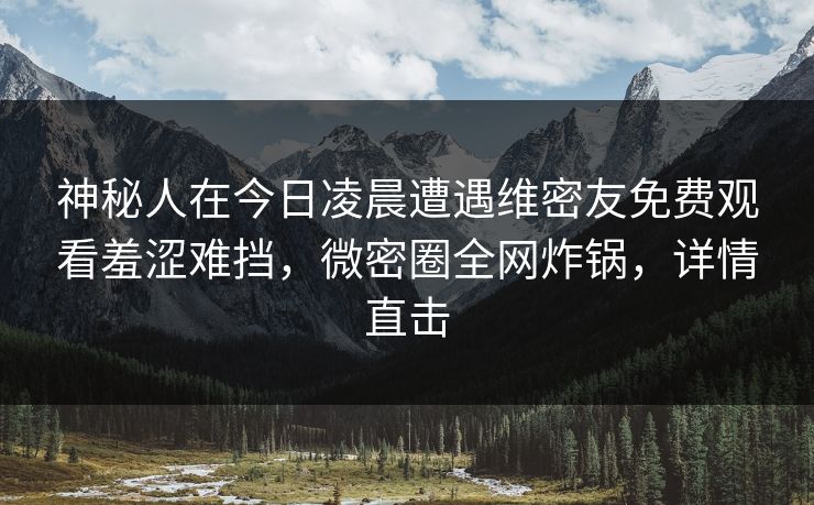 神秘人在今日凌晨遭遇维密友免费观看羞涩难挡，微密圈全网炸锅，详情直击